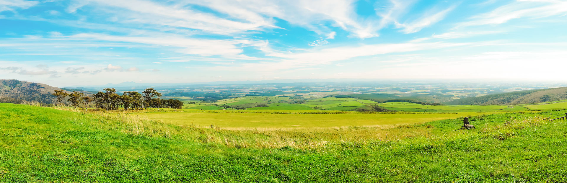 サステナビリティ